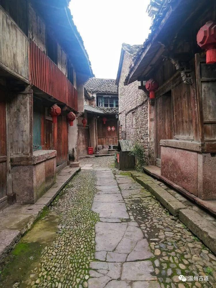 蜂王救援